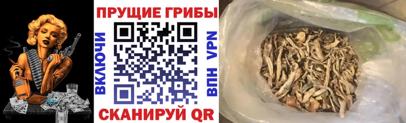 что такое наркотик  Лесозаводск  Галлюциногенные грибы MAGIC MUSHROOMS 